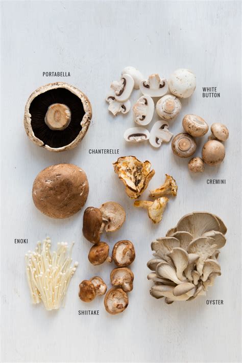 Edible Mushroom Types | www.imgkid.com   The Image Kid Has It!