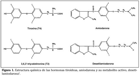 Efectos adversos de la amiodarona pdf / Clarityne d para ...