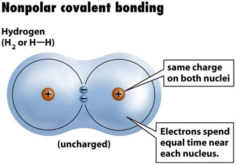 Ejemplo enlace covalente no polar. Enlace covalente polar ...