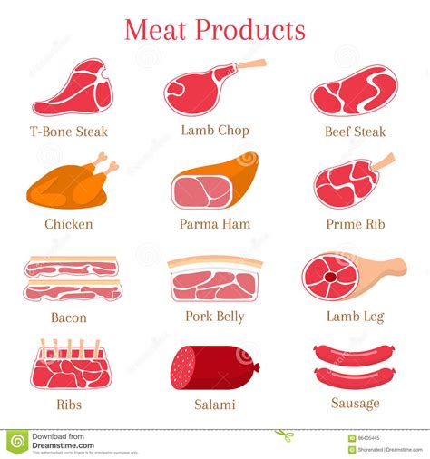 Ejemplo Plano Del Vector Con Los Diferentes Tipos De Carne ...