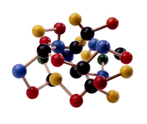 Ejemplos de biomoléculas