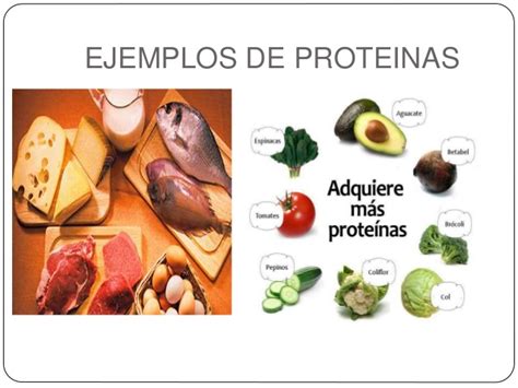 Ejemplos de proteínas