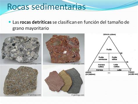 Ejemplos De Rocas Sedimentarias Related Keywords ...