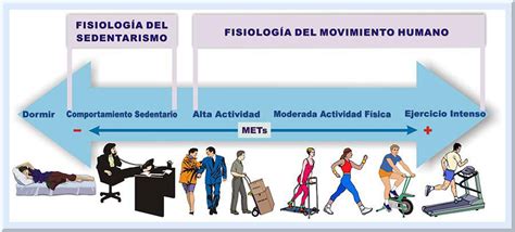 Ejercicio, Actividad Fisica y Sedentarismo EDFI   © 2013 ...