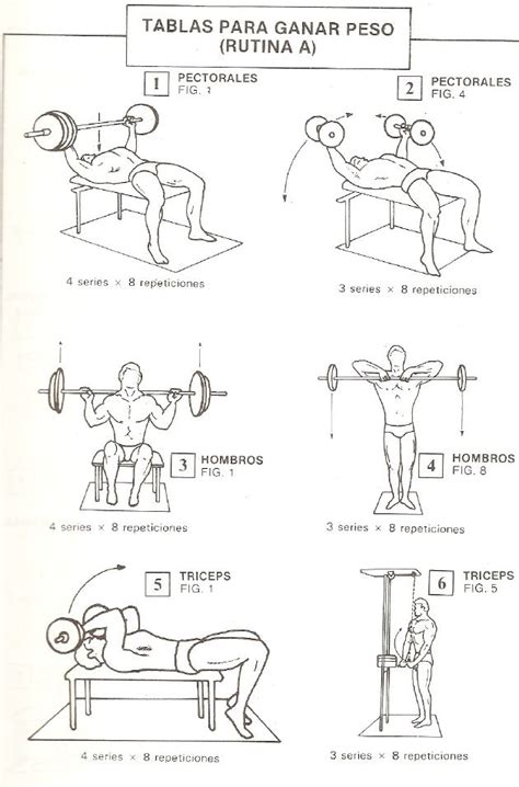 Ejercicios de Pesas y Musculación para Cuerpos Normales ...