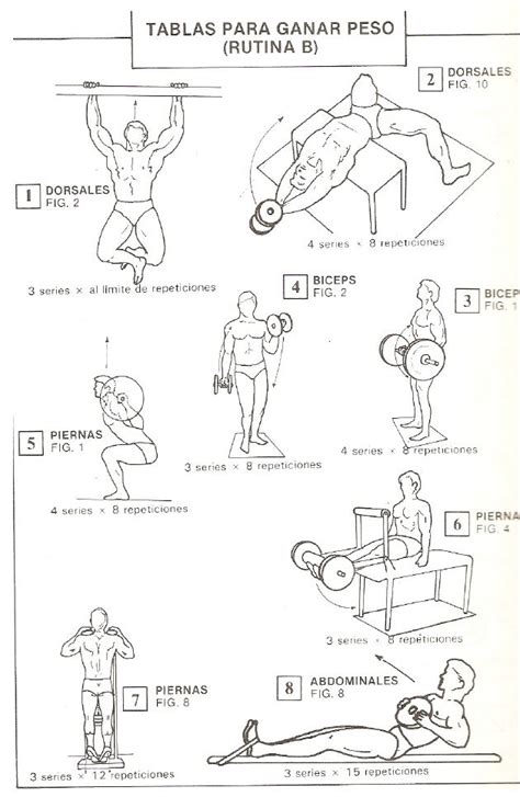 Ejercicios de pesas y musculación para cuerpos normales ...