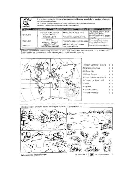 Ejercicios de Primaria