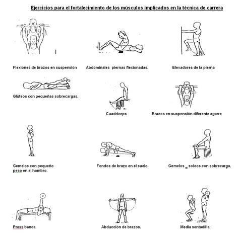 Ejercicios musculacion   Foroatletismo.com