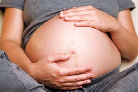 El abdomen y el útero en el embarazo   inatal   El ...