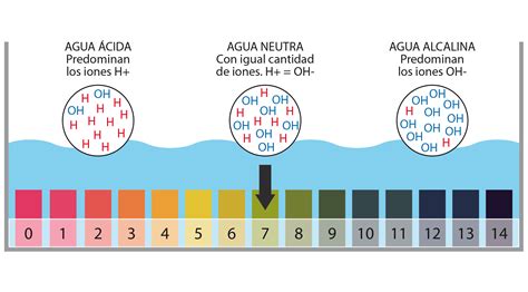 El acuario: dureza, pH y temperatura del agua | wikiAcuario