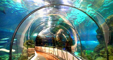 El Aquarium de Barcelona | Barcelona Home Blog