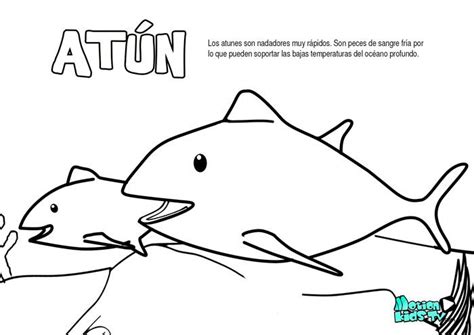 El atun, dibujos colorear peces. Recursos educativos ...
