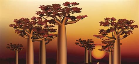El Baobab. Leyenda africana para niños