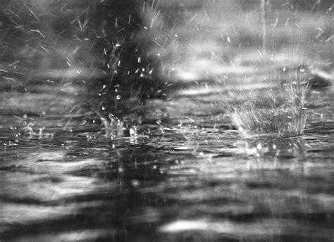 EL BICHO REACTOR: Canciones para días de lluvia