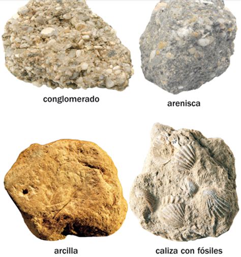 El blog de Fátima: Conferencia:  Las rocas de la corteza ...