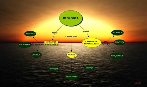 El blog del profe de biologia: Esquema de conceptos acerca ...