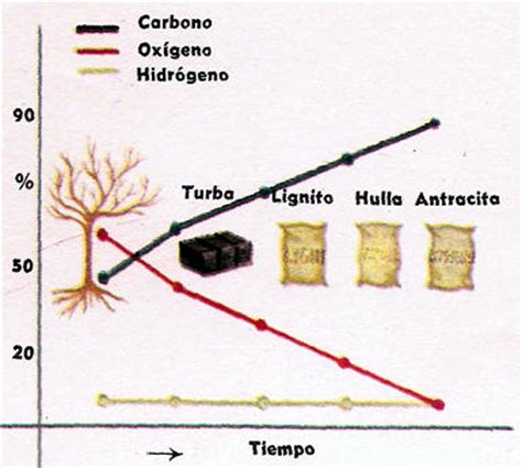 El Carbon Formacion u Origen, Tipos y Extraccion Hulla ...