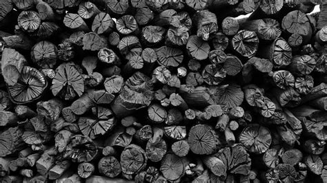 El carbón vegetal será el primer producto cubano en ...