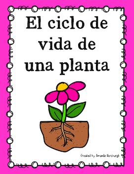 El ciclo de vida de una planta by Clever Classroom ...