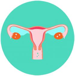 El ciclo menstrual | EVAX&TAMPAX