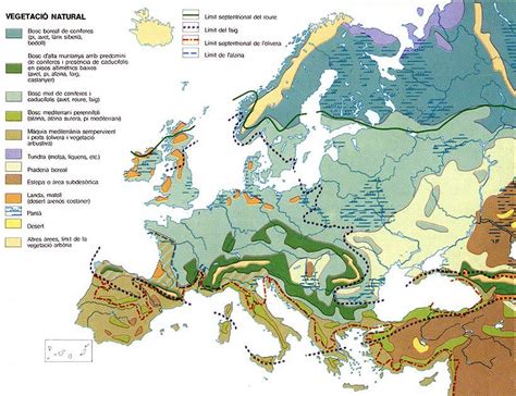 El clima y la vegetación de Europa