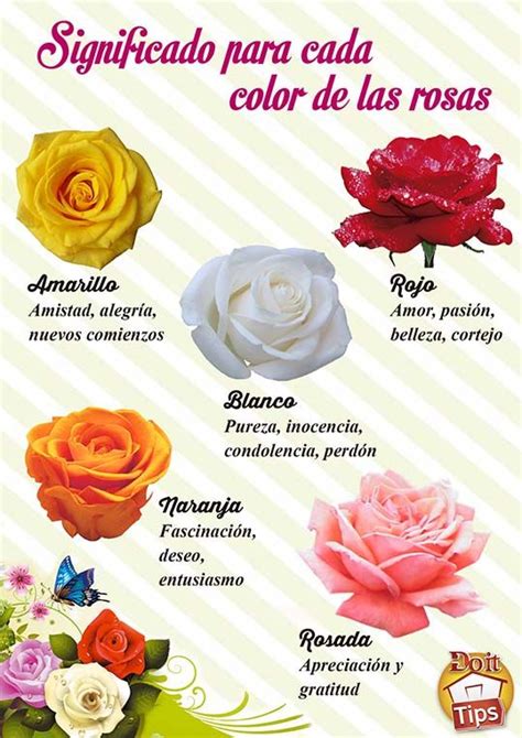 El color de las #rosas tiene un significado especial. # ...