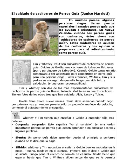 El cuidado de cachorros de Perros Guía  4 EP Texto expositivo