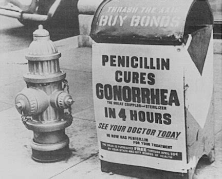 El Descubrimiento De La Penicilina: Una Revolución.