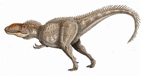 El dinosaurio carnivoro mas grande del mundo es argentino ...