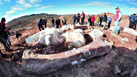 El dinosaurio más grande del mundo es argentino: pesaba ...