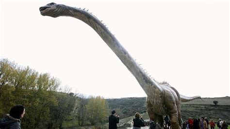 El dinosaurio más grande del mundo se «empadrona» en Soria ...