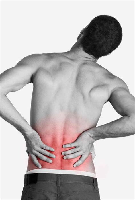 El dolor de espalda: las cicatrices de la evolución ...