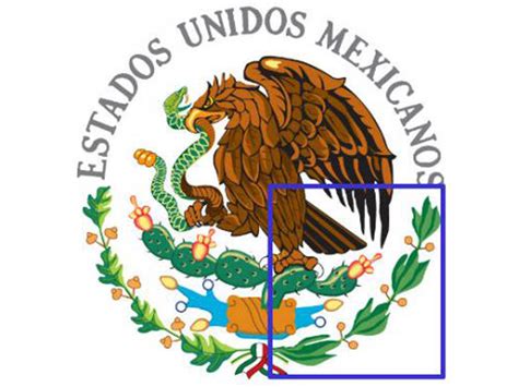 El error en el Escudo Nacional Mexicano | Nortedigital