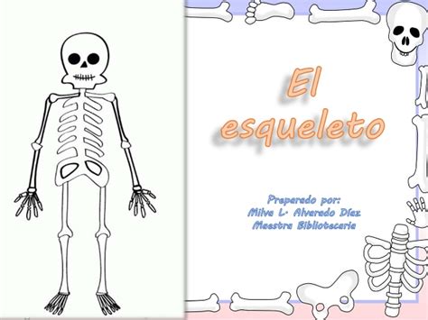 El esqueleto: sistema óseo para niños