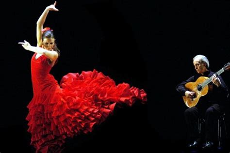 El Flamenco Casa Conil