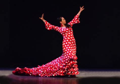 El flamenco: Mi Pasión