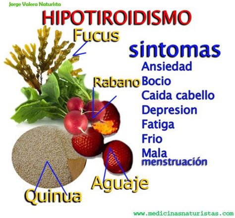 El hipertiroidismo es una afección en la cual la glándula ...