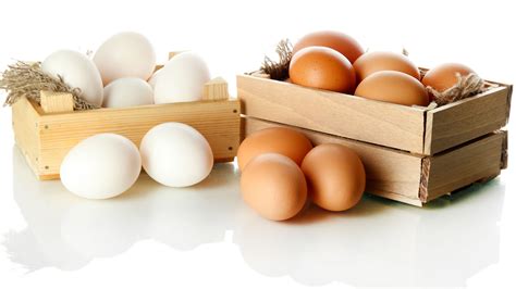El Huevo, Esencial fuente de Proteínas.   Salud Book