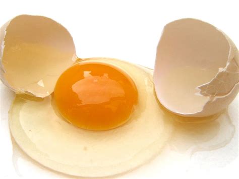 El huevo: Métodos básicos de cocinado  II  | ndnatural