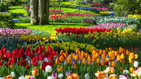 El jardín de flores más bonito del mundo