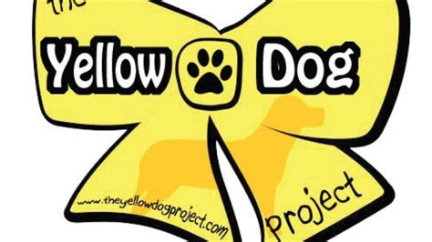 El lazo amarillo en los perros. The Yellow Dog Project