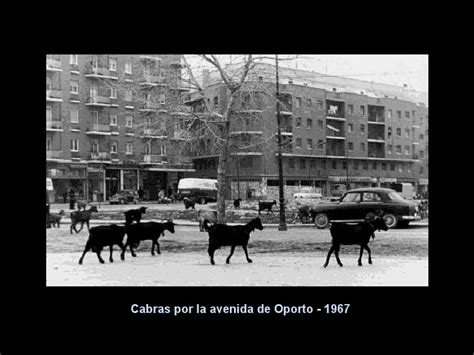 El Madrid de los años 60 Taringa!