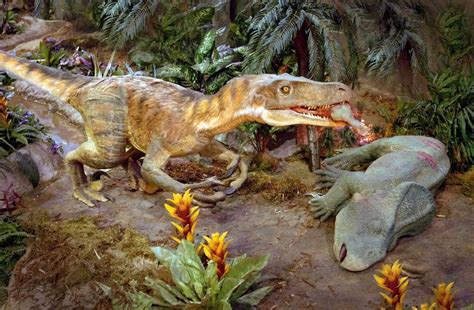 El mayor cementerio de dinosaurios de España está en la ...