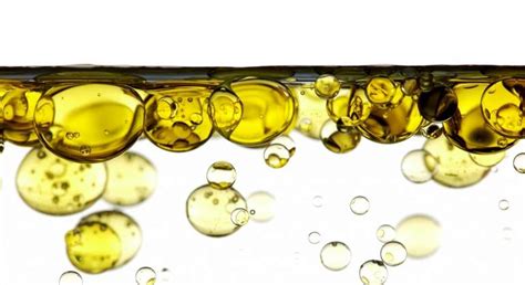 El mejor aceite de oliva de España
