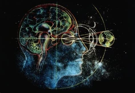 El misántropo digital: El cerebro