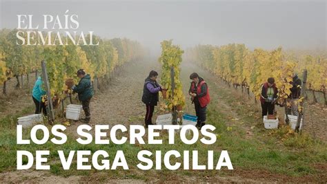 El misterio de Vega Sicilia | Reportaje | El País Semanal ...