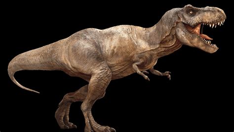 El misterio del Tiranosaurio Rex está por resolverse ...