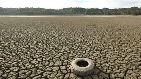 El Nino weather conditions unlikely to return in Q3, says ...