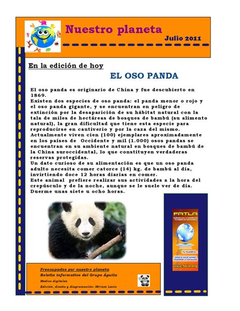 El Oso Panda by Miriam Levin Issuu