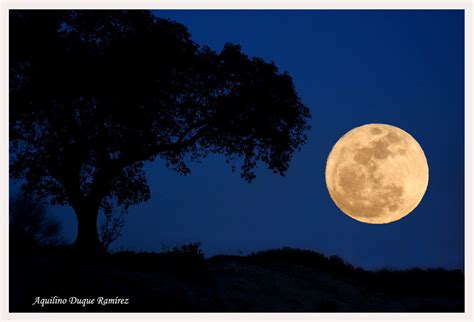 El Parque Natural a la luz de la luna.   SIERRA DE ANDÚJAR
